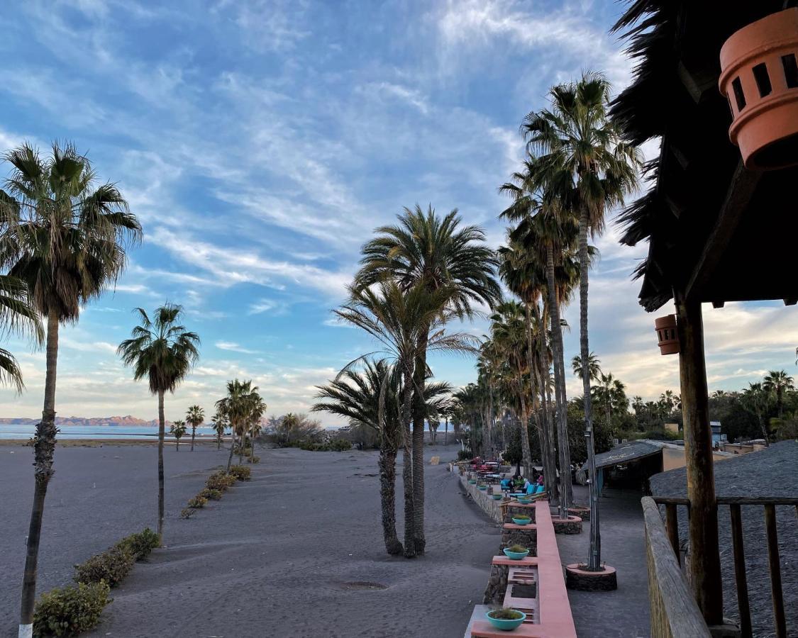 Oasis Loreto (Baja California Sur)