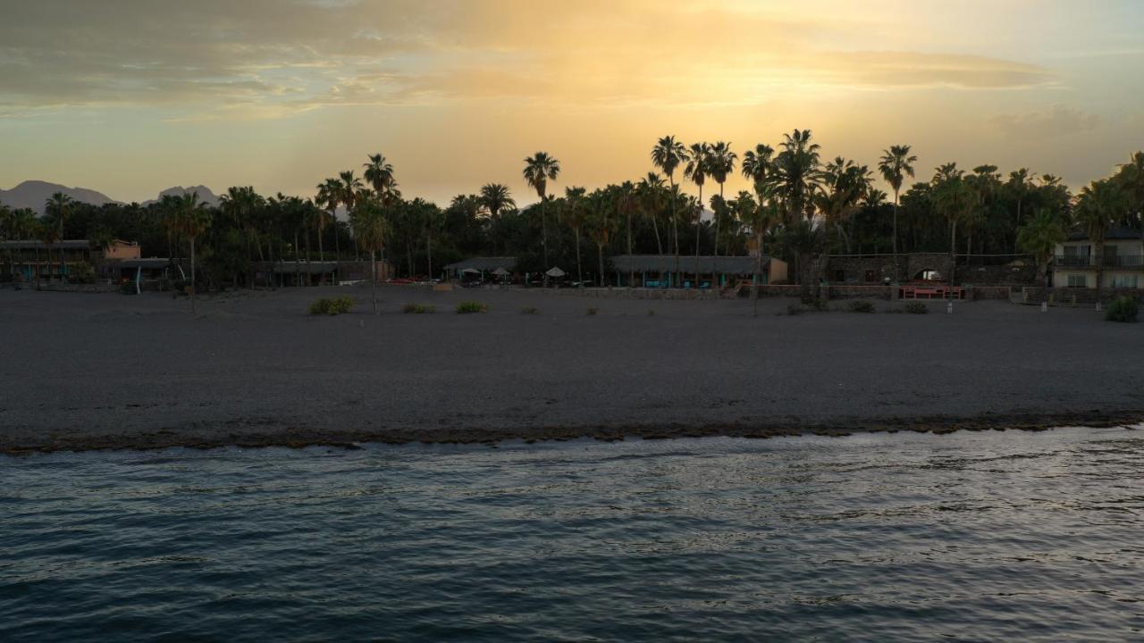 Oasis