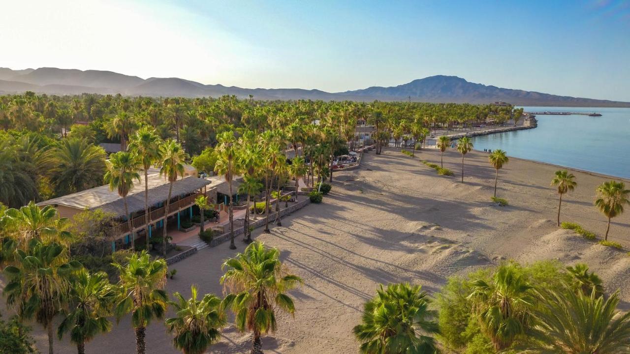 Oasis Hotel 4*