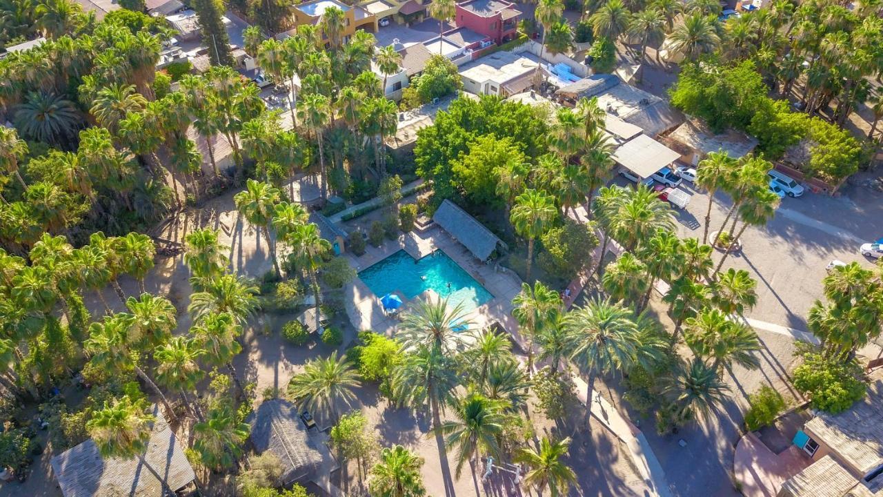 Hotel Oasis
