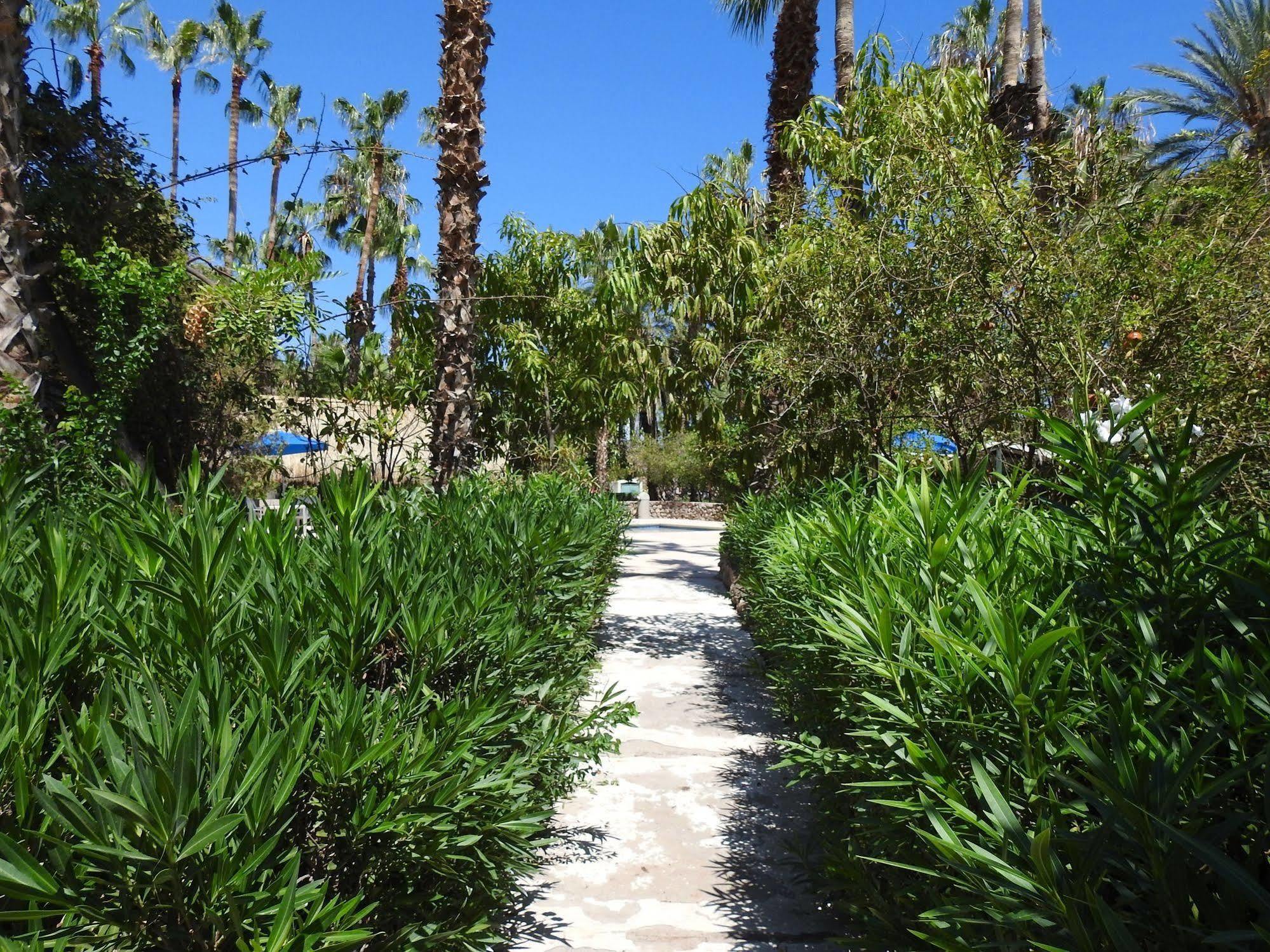 Hotel Oasis 4*
