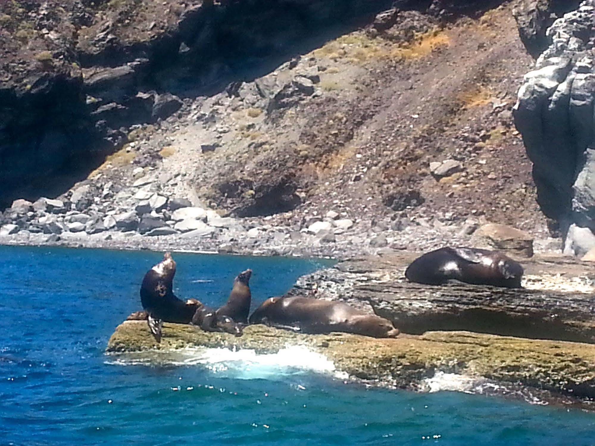 Oasis 4* Loreto (Baja California Sur)
