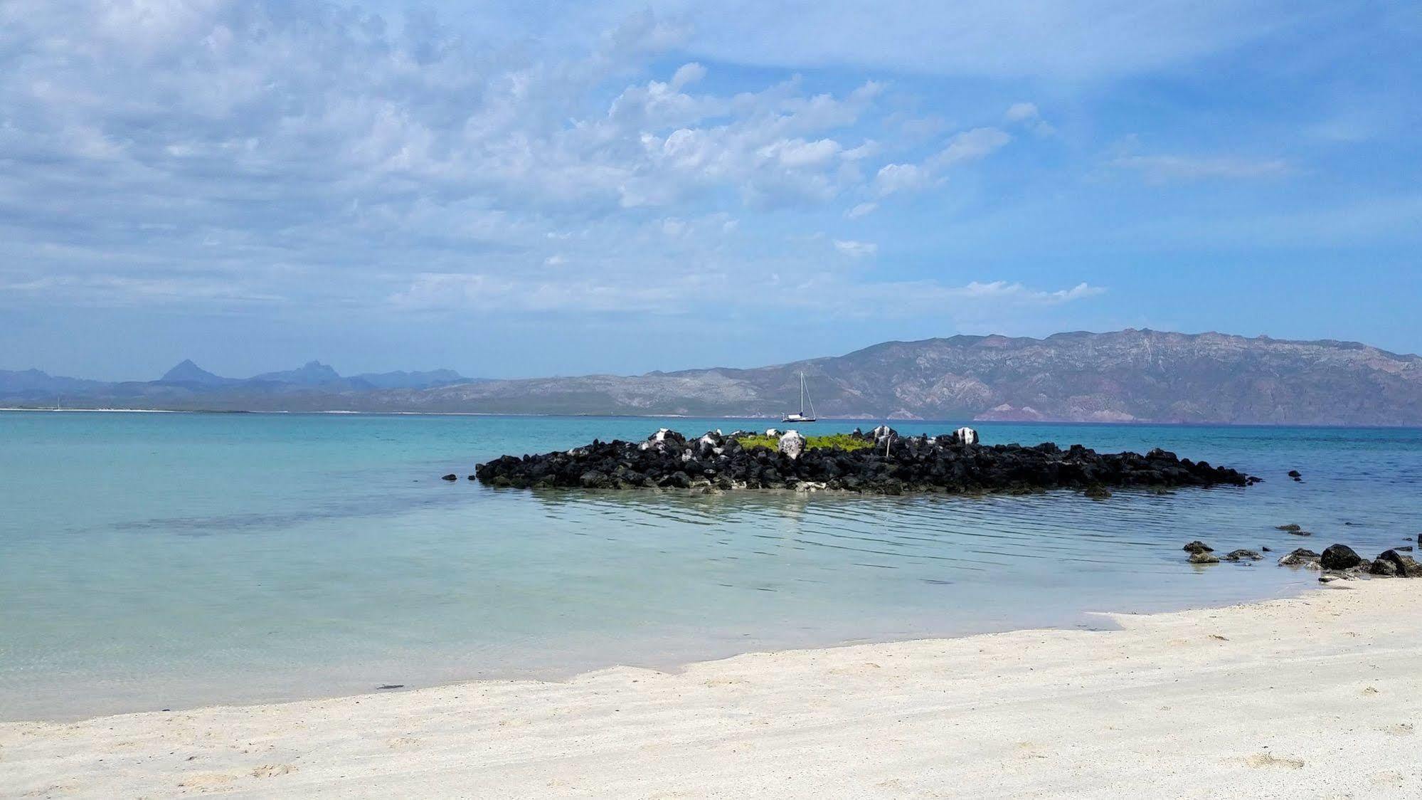 Hotel Oasis 4*